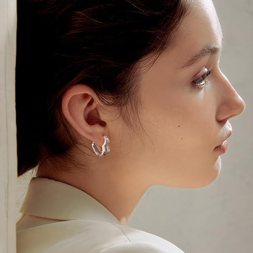 ALEXCRAFT Heart Hoop Earrings for Women, 925 Sterling Silver Huggie Hoop Hypoallergenic Elegant Lightweight Silver Small Cartilage Double Heart Shape Earrings for Women4