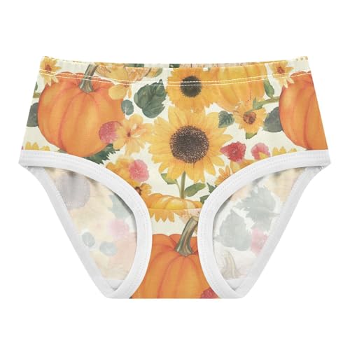 Wusikd Pumpkins Sunflowers Girls' Underwear Cotton Watercolor Floral Girls Briefs Soft Toddler Underwear 2T