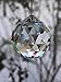 Petrichor Clear Crystal Hanging Ball Feng Shui Prisms Sun-Catcher Window Decorative Good Luck Prosperity - Home Decoration/Gifting (40 MM)
