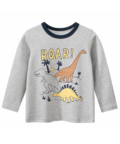 Toddler Boys Girls Long Sleeve T-Shirt Cotton Crewneck Casual Shirts 3 Pack Kids Fashion Graphic Tops 2-9Y2