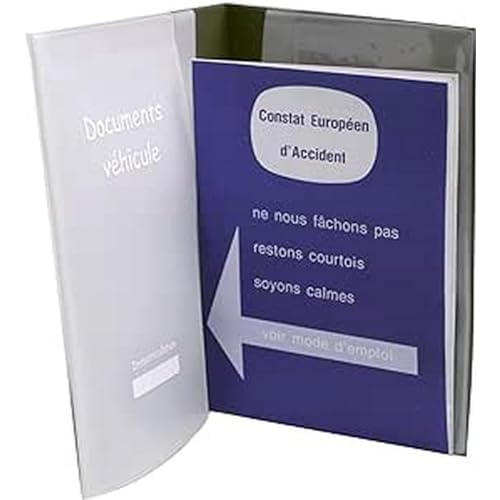 AUXENCE Portadocumentos de vehículo (Estuche de Almacenamiento, Cuaderno de Mantenimiento, Cuaderno del Fabricante, Constat Europeo de Accidentes), 23,8 x 18,8 x 3,3 cm