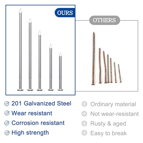 1300PCS Galvanized Steel Hardware Nails with Storage Box, 3/4 Inch Flat Head Nails for Hanging Pictures and Woodworking, Picture Hanging Nails, Small Nails, Wall Nails, Wood Nails, Finishing Nails - Image 4
