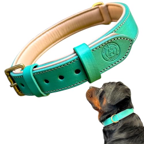 Image of High Graded Premium Leather Dog Collar- Dog Collar for Large Dogs, Dog Collar for Med, Dog Collar Belt (Green, Size Neck - Medium (14.5-18.5 Inch))