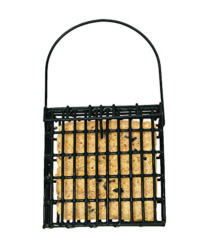 ST. ALBANS BAY SUET PLUS Wildlife Sciences Vogelfutterstation für Wildvögel, mit Nüssen und Beeren – Bild 4