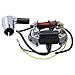 Produktbild Zündung Set Lichtmaschine Stecker 6V 17W für Hercules Prima Zündapp Puch Kreidler
