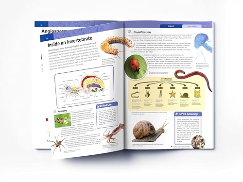 Image of Living Things : Science Knowledge Encyclopedia for Children