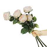 [Package] 6pcs branches in pack,on each one 1pcs flower head and some green leaf. No vase or pot included. [Material] Flowers are made of premium silk with natural dyeing.The silk is coated with special gel for real-touch purpose.Leaves are made of g...