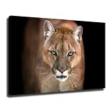 ZyyLeS Cougar Mountain Lion Poster Printing Canvas Art and Wall Decoration Modern Home Bedroom Office Decoration (08x12inch Unframed)