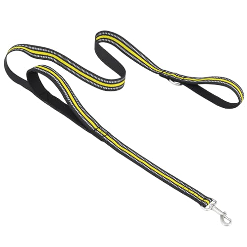 Magshion 60 inch (5 ft) Heavy Duty Dog Leash with 2 Comfortable Padded Handles, Traffic Handle for...