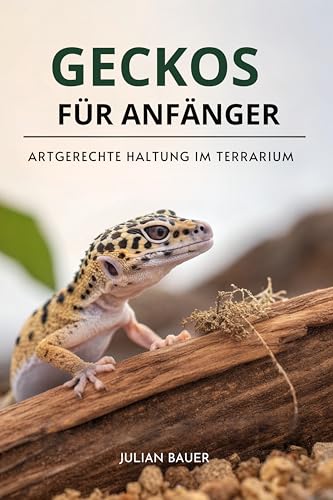 Geckos Für Anfänger: Artgerechte Haltung Im Terrarium