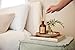 Craft & Kin Oud Wood Diffuser Reed Diffuser | All Natural Essential Oil & 8 Rattan Scent Sticks | Reed Diffusers for Home, Bathroom | Long Lasting Home Fragrance in Amber Glass, 5.75oz