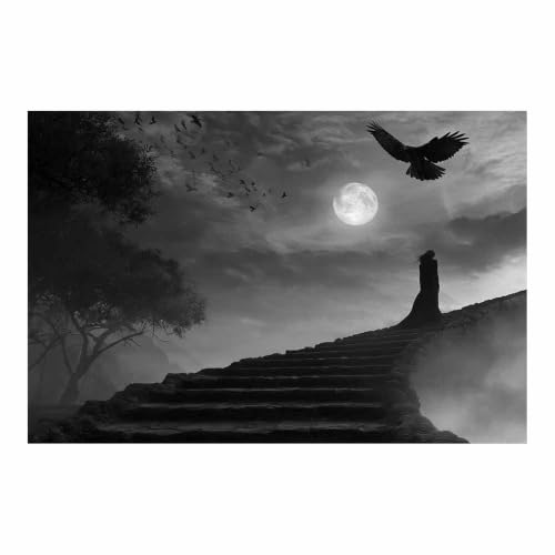 Affiche noir et blanc toile murale décoration aigles lunaires HOQIU salon 40x60cm