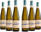 Terre Forti Pignoletto DOC, Frischer und Fruchtiger, Weißer Italienischer Perlwein, 12 % Vol., Karton mit 6 Flaschen mit jeweils 750 ml