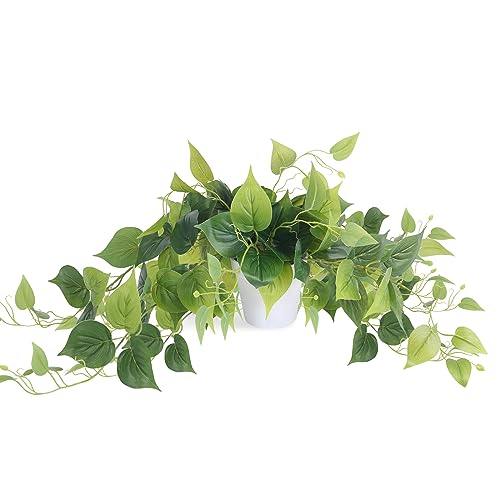 Tiita 1 Pack Fake Plants Artificial Scindapsus Aureus in Pots, Re...