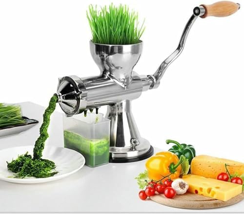 Manuel d'herbe de blé gingembre spécial légumes cuisine saine - 2