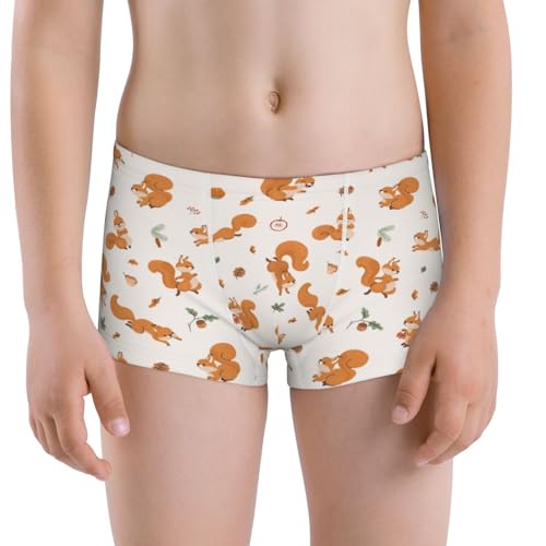 Boys' Cotton Boxer Brief Soft Underwear-Cute Squirrel Fall