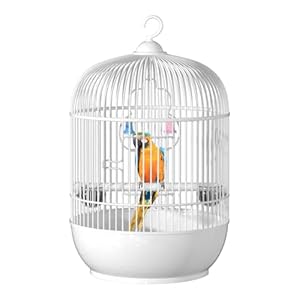 Parrot Carrier Perch Cage, Round Portable Parakeet Cage, Small Lovebirds Travel Carrier with Standing Perch, Hanging Pet Bird Travel Accessories, Small Bird Cage for Conures Cockatiels Handrail Stand