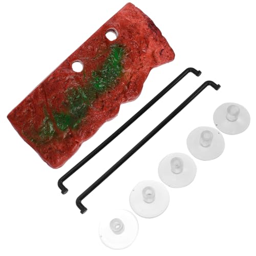 YARNOW ybgeX p T̎Nw ̑  ^ 