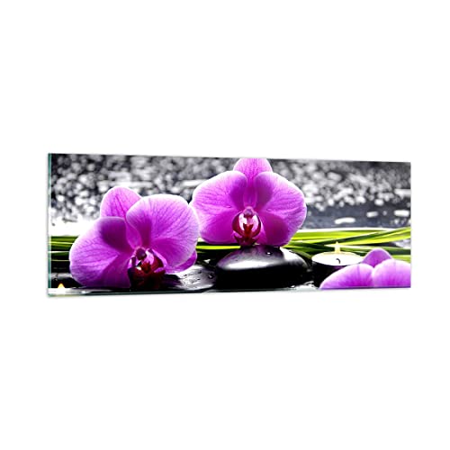 Vidrios decorativos Orquídea naturaleza Agua flor Cuadro Sobre Vidrio Moderno 90x30cm Decoracion Salon Dormitorio Cocina Cuadros Pared Impresiones Impresión en Cristal Wall Art Prints GAB90x30-2658