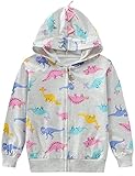 DDSOL Toddler Girls Sweatshirts Dinosaur Hoodie Tops Toddler T-Shirts Long Sleeve Outdoor Grey Outfit 3t 4t