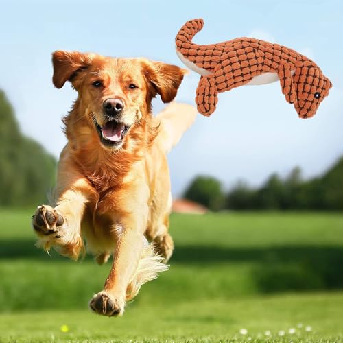Wnddle Hund Kauspielzeug mit Dino Design, 2Pack Spielzeug für Hunde, Interaktives Hundespielzeug mit eingebauten Quietscher gegen Langenweile