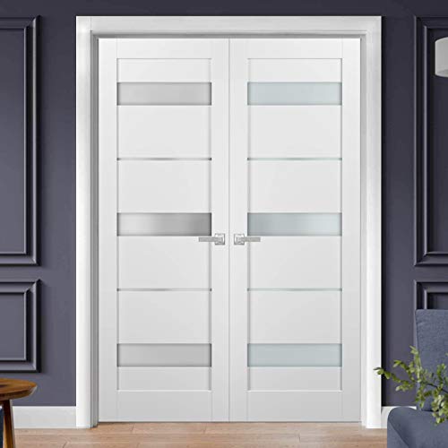 French Double Panel Lite Doors 56 X 84 With Hardware | Quadro 4055 White Silk With Frosted Opaque Glass | Panel Frame Trims | Bathroom Bedroom Interior Sturdy Door #TOP1