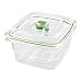 FoodSaver FFC005X Recipiente para envasar al vacío, 1,1 L, 1.2 litros, 0...