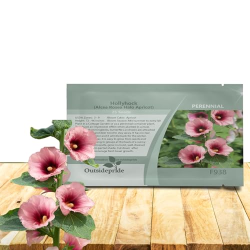 Outsidepride Halo Hollyhock Seeds - 50 Pcs Perennnial Apricot Heirloom, Long-Blooming Drought Tolerant Flower Seeds with Semi-Double Blooms for Cottage Gardens & Cut Flowers