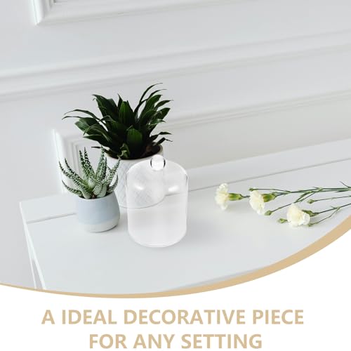 Diseño Estético de Cúpula de Vidrio Transparente para decoración selecta 4