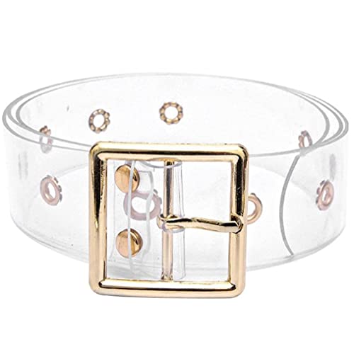 Clear Belt Women Waist Belts Resin Transparent Long Belt Ladies Dress Band Belt with Gold Round Buckle, 102cm