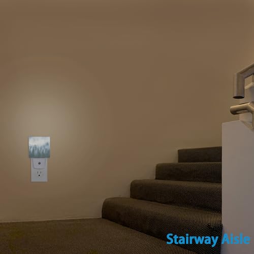 Image of Misty Forest Night Light,Nature Landscape Night Lights Plug into Wall for Boys Girls, Led Lamp for Stairway /Hallway /Bedroom 0.5W Nightlight Sleep Friendly