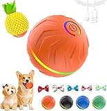 2026 T01 Interactive Dog Toys Dog Ball, Automatic Rolling and Bouncing Moving Dog Toy, Durable and USB Rechargeable, Fun Smart Toy for Puppy, Small, Medium and Large Dogs, Dog Toys to Keep Them Busy