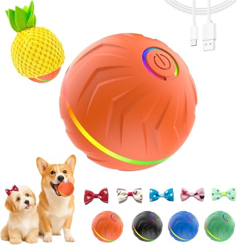 2026 T01 Automatic Rolling Dog Ball