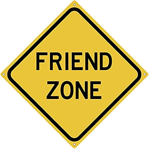 Toothsome Studios Friend Zone 12" x 12" Funny Tin Sign Gag Gift Prank Home Bar Garage Pub College Dorm Decor Cover