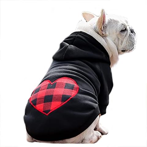Blue Dream Island Dog Hoodie for Cold Weather Cover