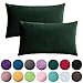 FORTRY 2er Set Pack Samt Soft Solid Kissenbezug 40x60cm Kissenhülle Dekorative Wurf Kissenbezug Dekokissen Sofa Schlafzimmer Sofakissen Lendenkissen Wurfkissenbezug samtkissen Dunkelgrün