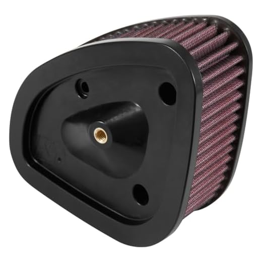 K&N Engine Air Filter: High Performance, Powersport Air Filter: Fits 2017-2019 HARLEY DAVIDSON (Road King, Electra Glide, Ultra, Classic, Tri Glide, Limited, Low, and other select models) HD-1717