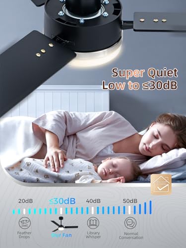 Image of LANMEL Ceiling Fan with Light, Modern Flush Mount Low Profile with Remote Control, Reversible, 3CCT Dimmable, Quiet,LED for Bedroom, Living Room, Indoor /Outdoor Patio Use 42 Inch Silver & Black