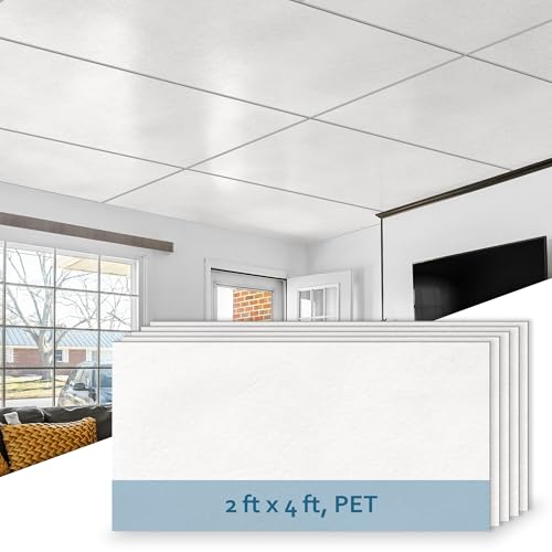 SUNWINGS 10-Pack Drop Ceiling Tiles, 24