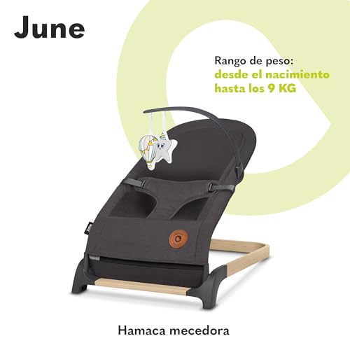 Miniatura 2 de LIONELO June hamaca de bebé, movimiento natural del balanceo, desde los primeros días de vida hasta los 9 kg, ligera, estable, antideslizante, cinturones de seguridad, hamaca plegable para bebes | De Bebé, Movimiento Natural del Balanceo, desde los Primeros Días de Vida hasta los 9 kg, Ligera, Estable, Antideslizante