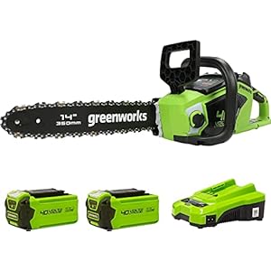 Greenworks GD40CS15K2X Accu Kettingzaag met Borstelloze Motor, 35 cm Zaagbladlengte, 12 m/s Kettingsnelheid, 3,5 kg, Automatische Oliesmering, Terugslagbeveiliging, Twee 40V 2Ah Accu’s & Lader