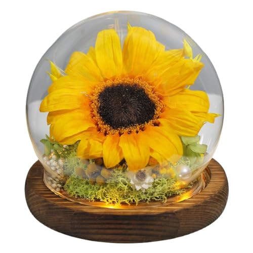 OGXN iԂЂ܂ KXP[Xu FЂ܂ LEDƖ? hCt[ t[fR[V RNVi V蕨 H|i ivۑRNV Ƌe[u? aLO蕨 zji (IWn S