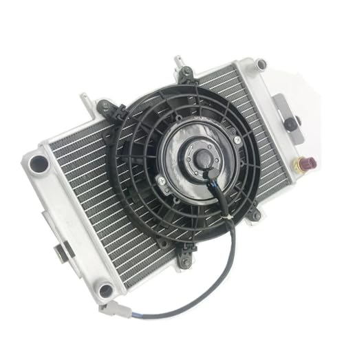 B-yang F-ishen 300CC D300 ATV�N���b�h�p���W�G�[�^�[����уt�@���d�����[�^�[�A�Z���u��