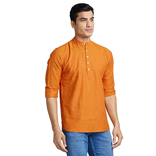 Image of Park Avenue Men's Cotton Polyester Blend Solid Pattern Slim Fit Mandarin Collar Full Sleeve Formal Shirt