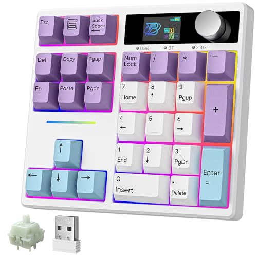BOYI TD31Pro Mechanical Number Pad,Bluetooth5.0/2.4G/Type-C Wireless Numeric Keypad,RGB HotSwap...
