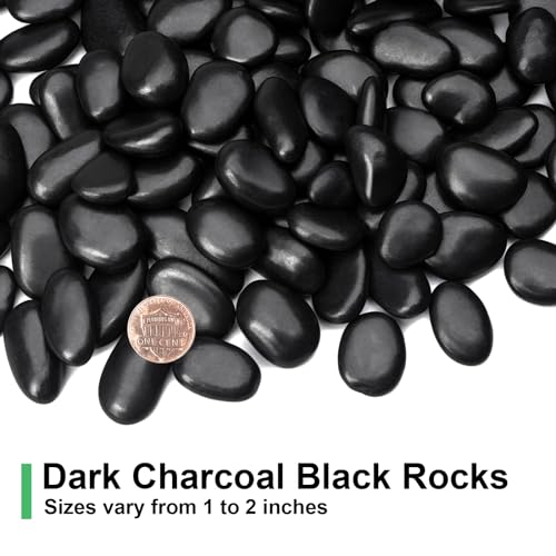 Pulovin 5 Pound Decorative Stones, Black Pebbles for Landscaping, Plant Rocks for Pots Outdoor and Indoor, 1\"-2\" Polished River Rocks for Vase Filler, Garden Decor