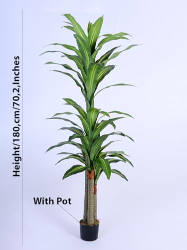Image of ARICK DECOR 6Ft Artificial Dracaena Reflexa Tree in Pot, 6ft Realistic Faux Lush Green Silk Leaf Plant, Peacock Shaped Large Floor Decor for Home, Office & Balcony