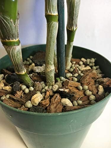 Miniatura 4 de Tierra para macetas con perlita, turba, musgo, coco, carbón y corteza de orquídea para Cattleya Dendrobium Oncidium Mezcla para macetas de corteza