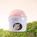 Bothyi Hamster Habitats Ceramic Hamster Nest Ice Cream Shape Hut Cute Pet Hideout Cool House for Chinchilla Birds Squirrels Chipmunk, Pink