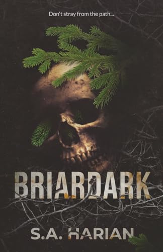 Briardark view 2